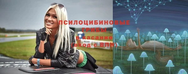 гидра Горно-Алтайск