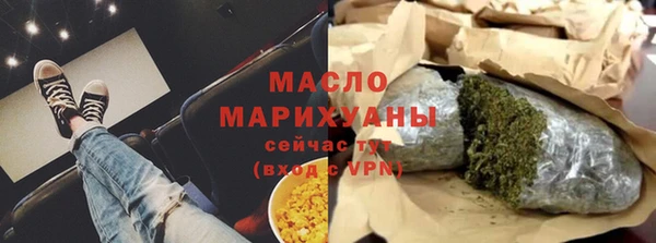 гидра Горно-Алтайск