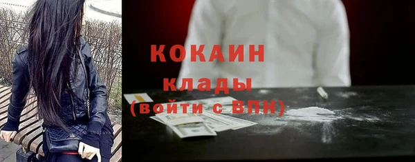 гидра Горно-Алтайск