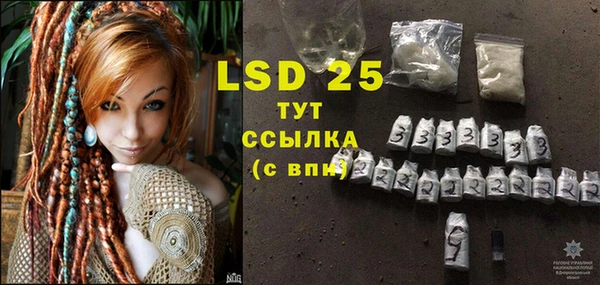 сатива Горнозаводск
