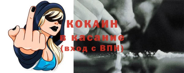 гидра Горно-Алтайск