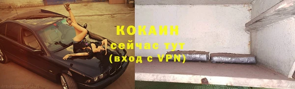 хмурый Горняк