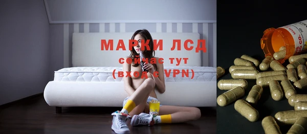 хмурый Горняк
