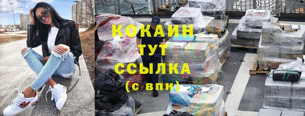 сатива Горнозаводск