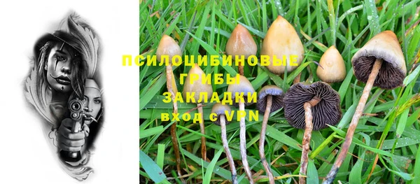 сатива Горнозаводск
