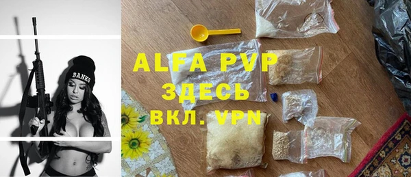 гидра Горно-Алтайск