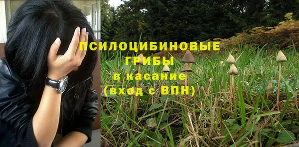 хмурый Горняк