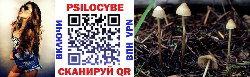 Псилоцибиновые грибы Magic Shrooms  Ессентуки 