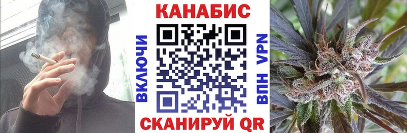 Бошки марихуана сатива  закладки  Ессентуки 